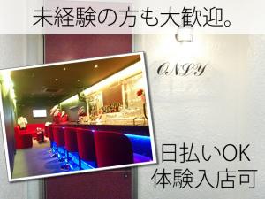 【ラウンジ 求人募集】-大阪府八尾市- きれい&オシャレな雰囲気のお店で一緒に頑張ろう!